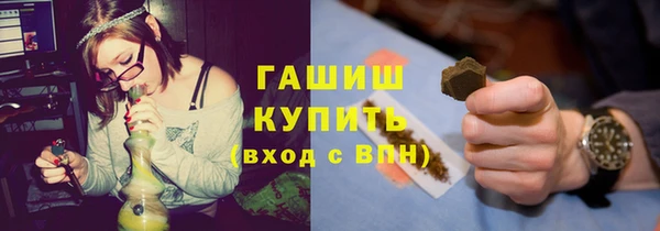 индика Белокуриха